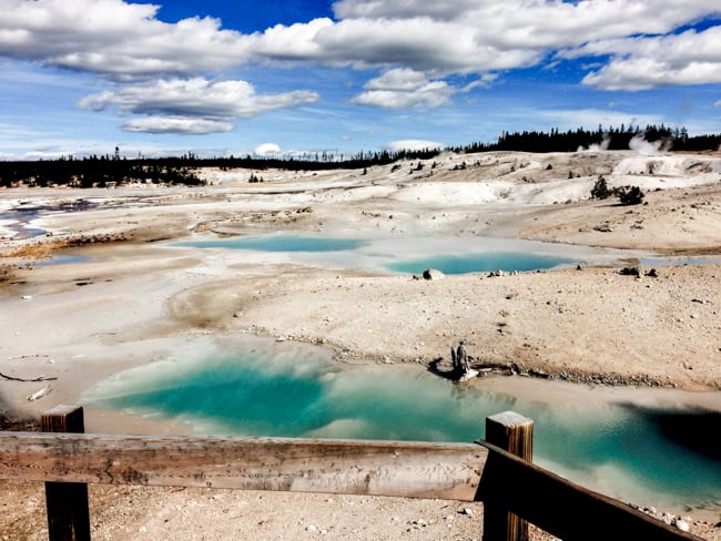 Norris Geyser Basin is one of our favorite activities in Yellowstone