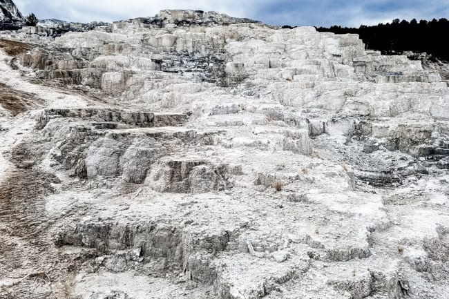 Mammoth Hot Springs is in northern Yellowstone and a fun activity to avoid crowds
