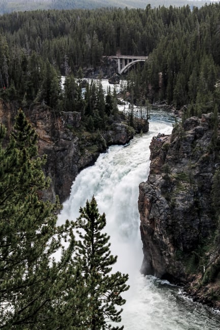 Upper Falls - Yellowstone vacation