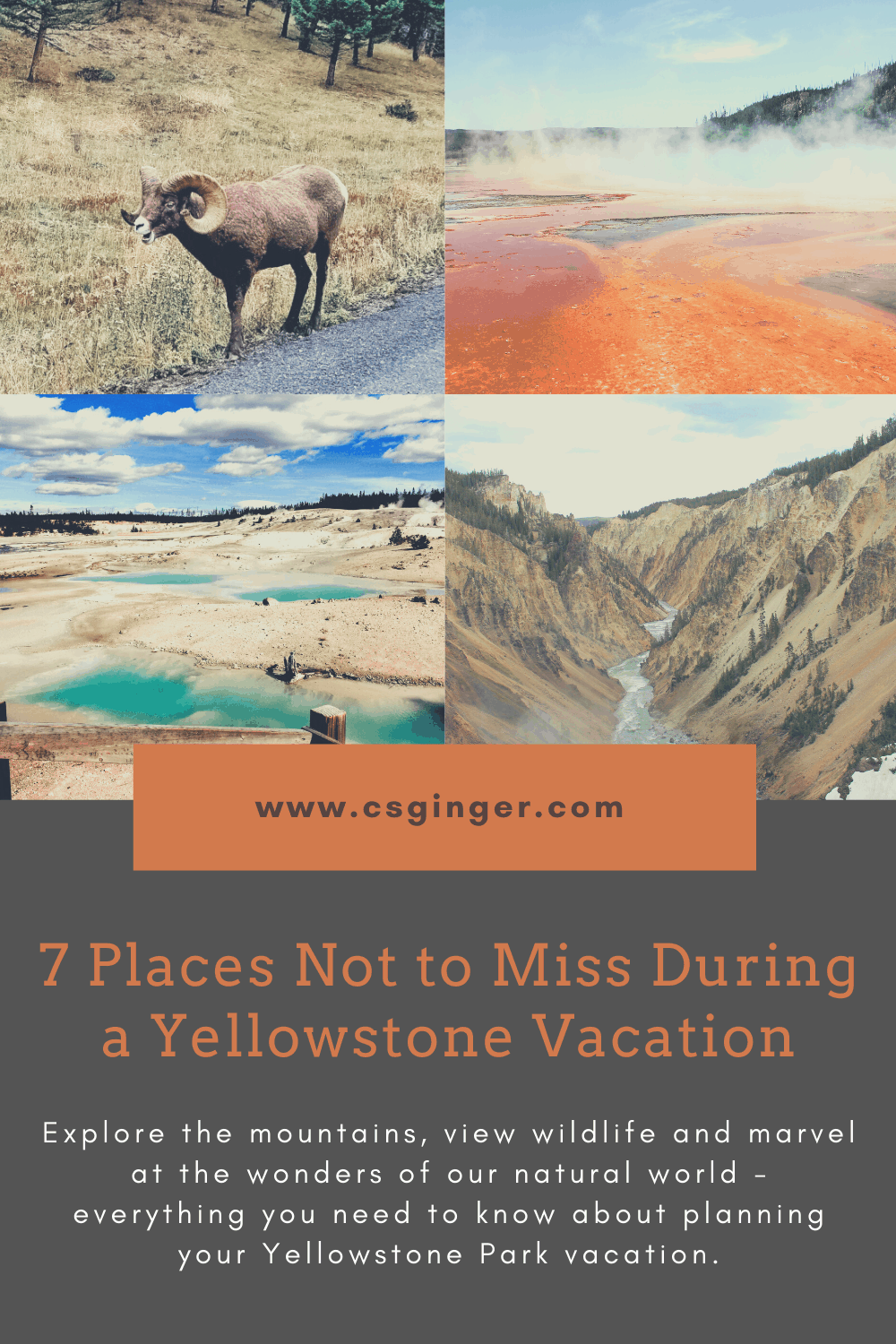 Activities in Yellowstone collage