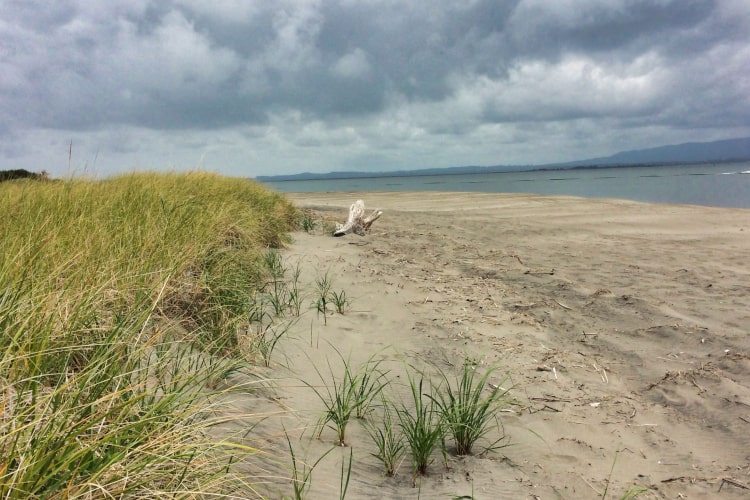 Astoria to Cannon Beach 12 Things You Must Do on the Oregon Coast CS