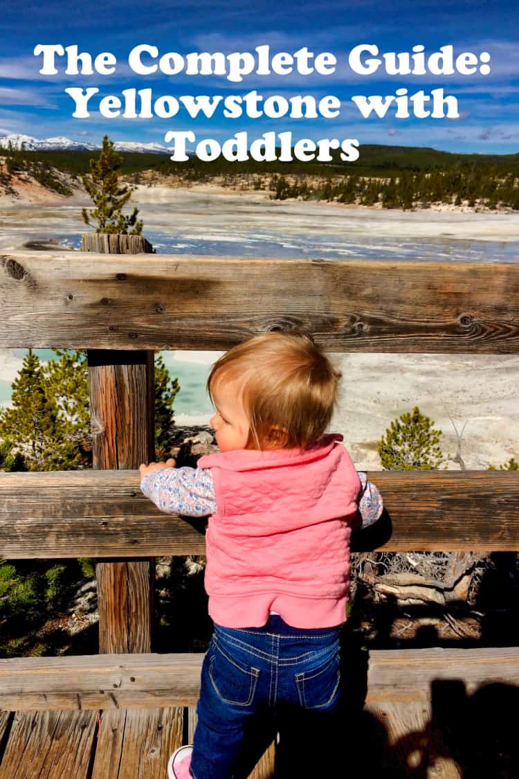 The Complete Guide Yellowstone With Toddlers Cs Ginger