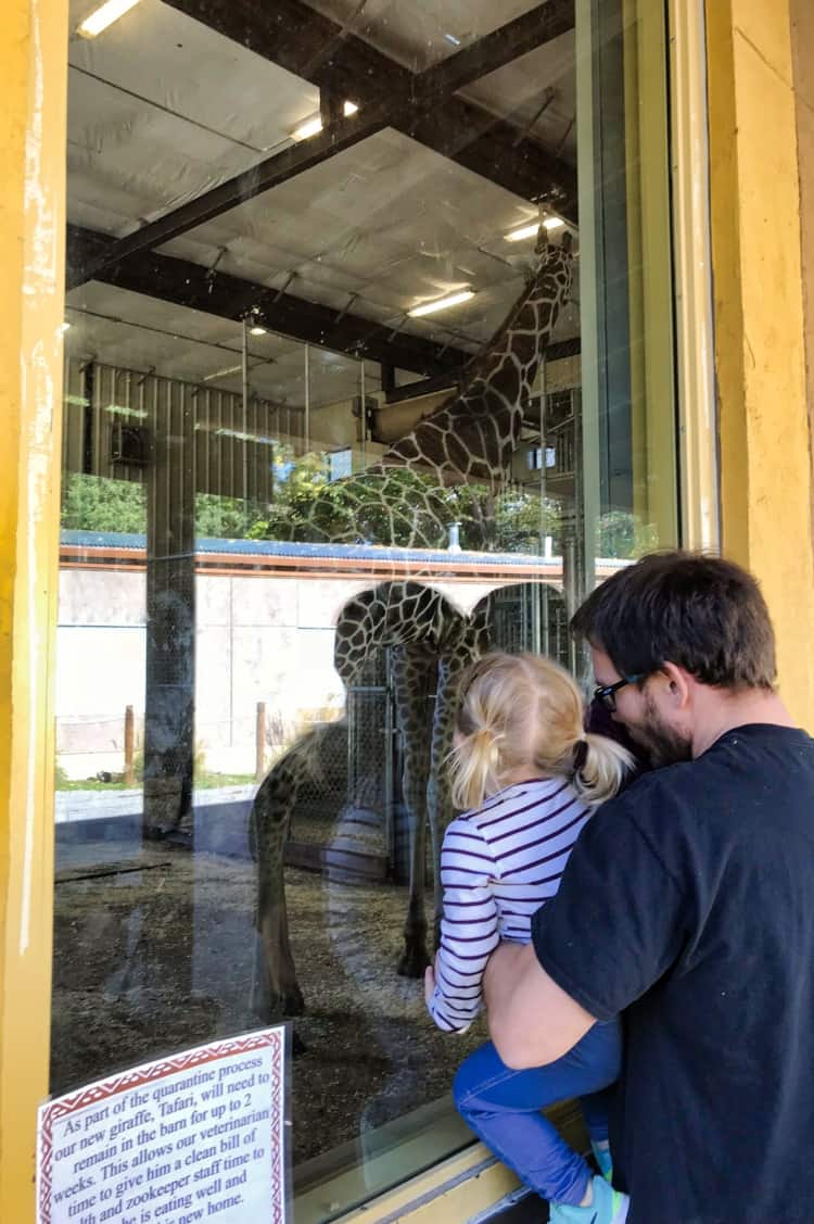 Going to the Boise Zoo is one of the fun things to do