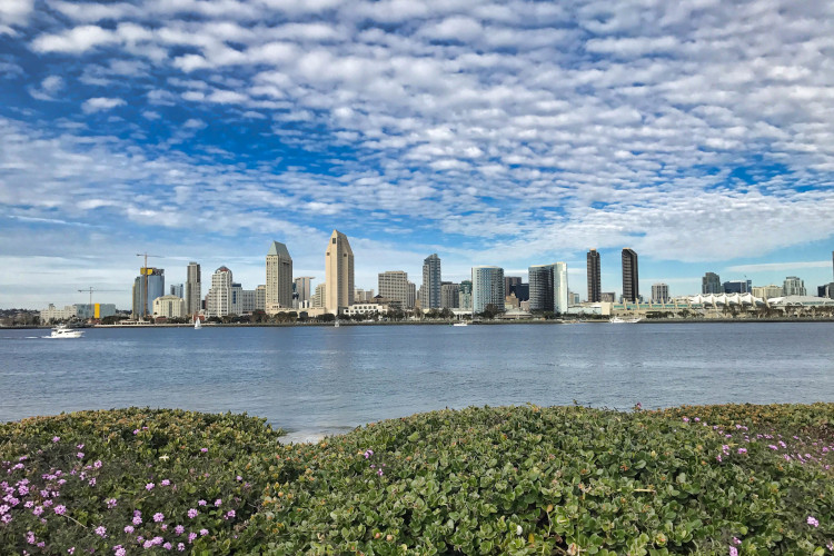 Centennial Park in San Diego