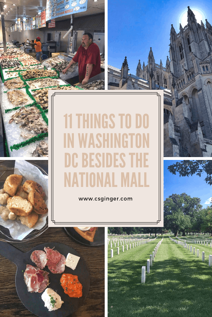 Pinterest graphic on spending a weekend in Washington DC