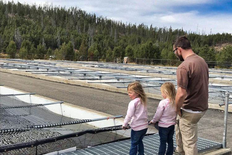 Stanley Fish Hatchery - one of the fun things to do in Stanley Idaho