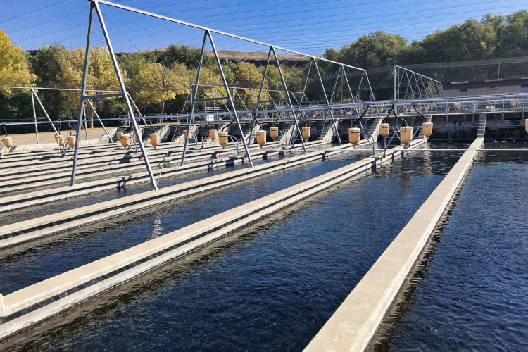 Holding Tanks at the Hagerman Idaho Fish Hatchery