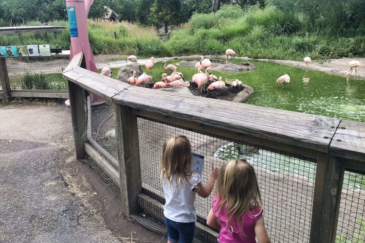 Tracy Aviary, a great stop in Salt Lake with toddlers