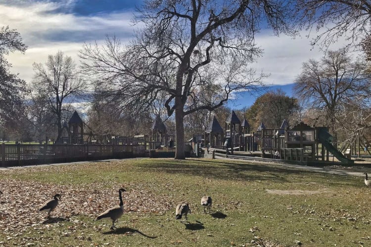 City Park is a fun place in Denver to go with kids.