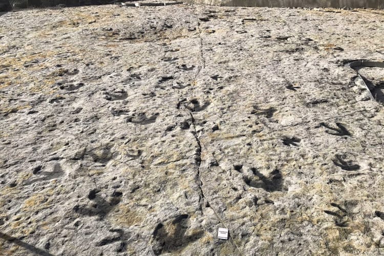 The Dinosaur Ridge Trail is a great place to visit if you are looking for kid friendly activities in Denver.