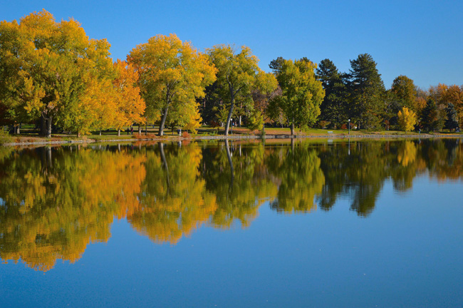 Washington Park in the summer.