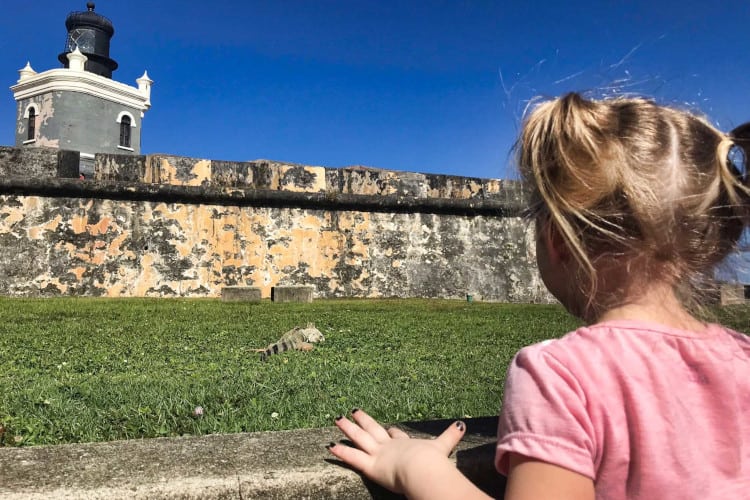 Young girl observing an iguana at El Morro Fort in San Juan