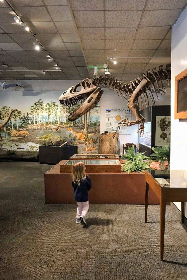 Dinosaur exhibit at the Museum of Paleontology in Provo, Utah