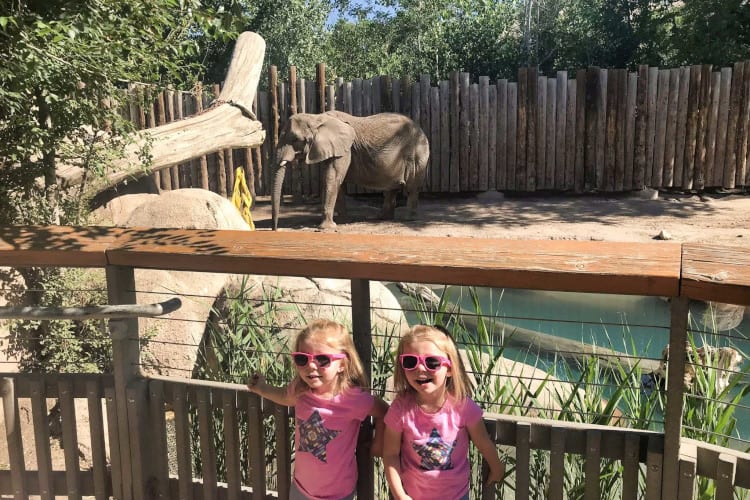 My daughters in front of an elephant at the Hogle Zoo.