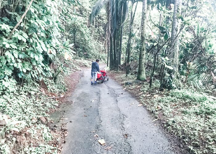 Onomea Trail near Hilo, Hawaii