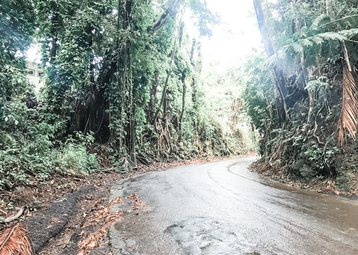 Scenic drives are one of the best things to do on the Big Island in Hawaii