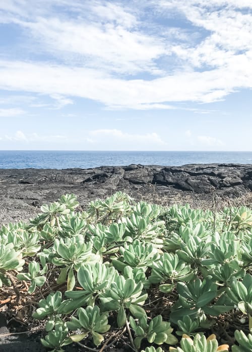 Visiting Volcanoes National Park is one of the best things to include in your Big Island itinerary
