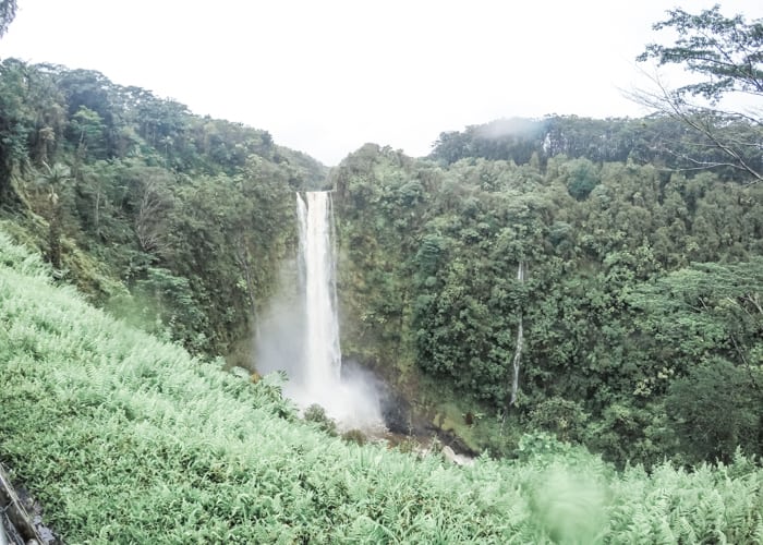 Visiting Akaka Falls is one of the most popular things to include in your Big Island Itinerary
