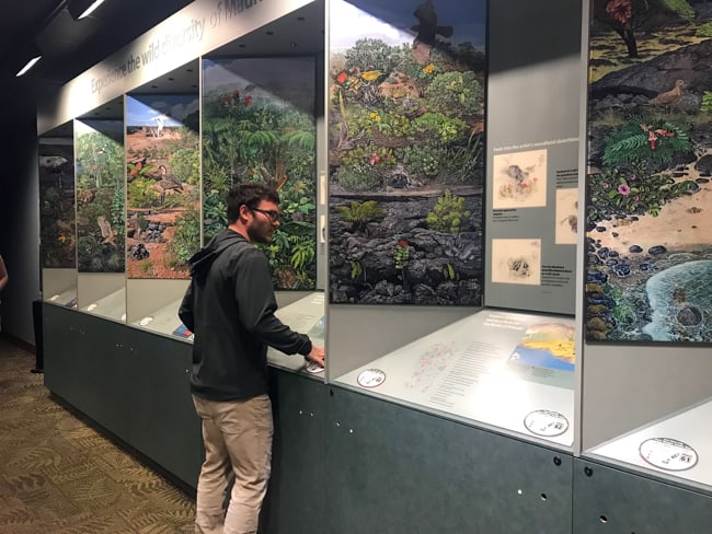 Coltin reading the display in the Volcanoes National Park Visitor Center