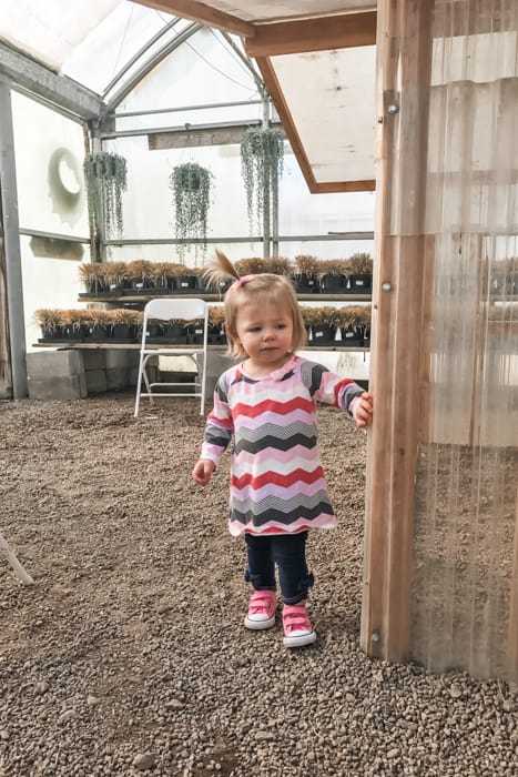 Edward's Greenhouse is one of the fun things to do in Boise in the winter.