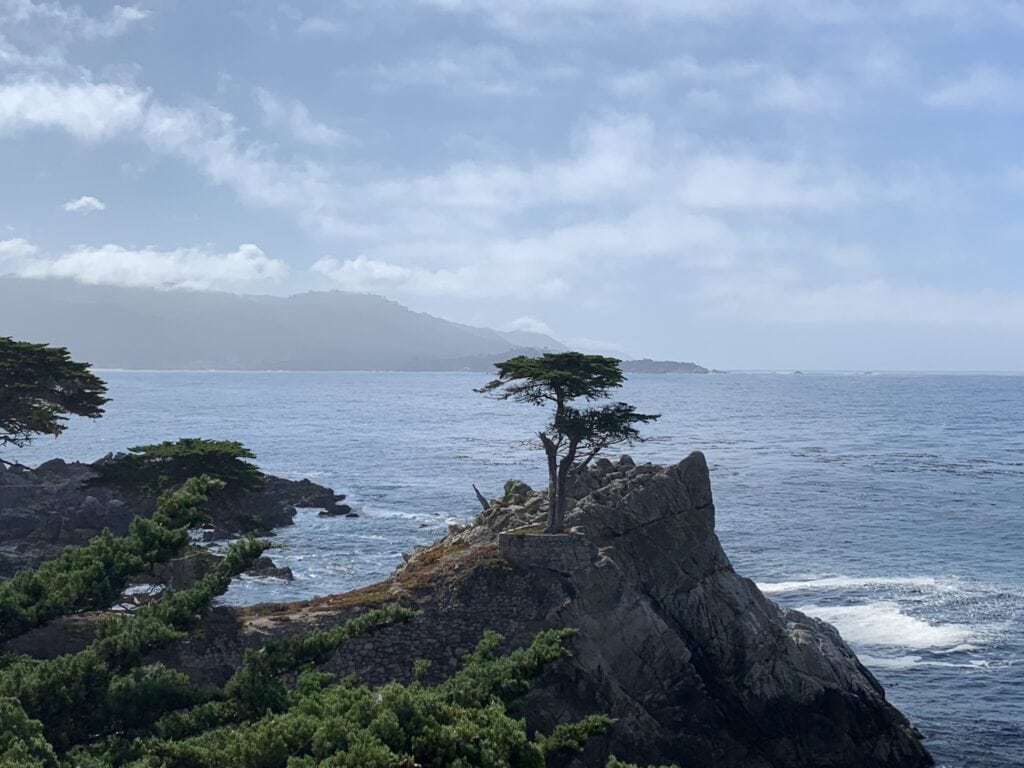 Lone Cypress in Monterey