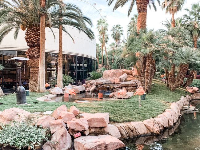 The Wildlife Habitat is a great stop for kids in Las Vegas