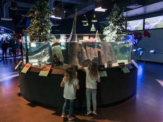 The Odysea Aquarium in Phoenix