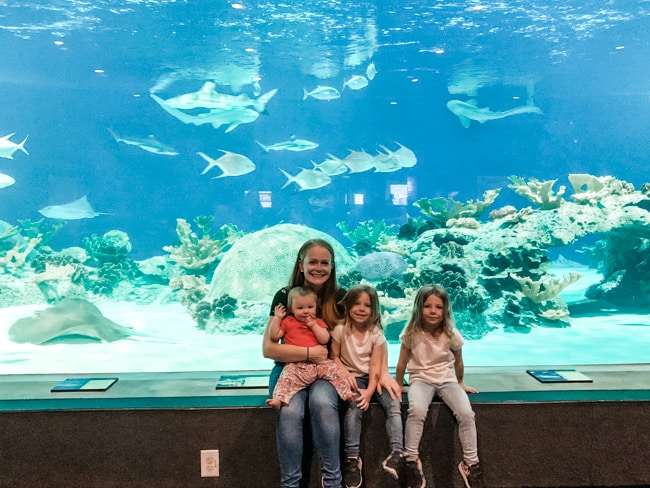 The Odysea Aquarium is one of the top indoor things to do in Phoenix for Kids.