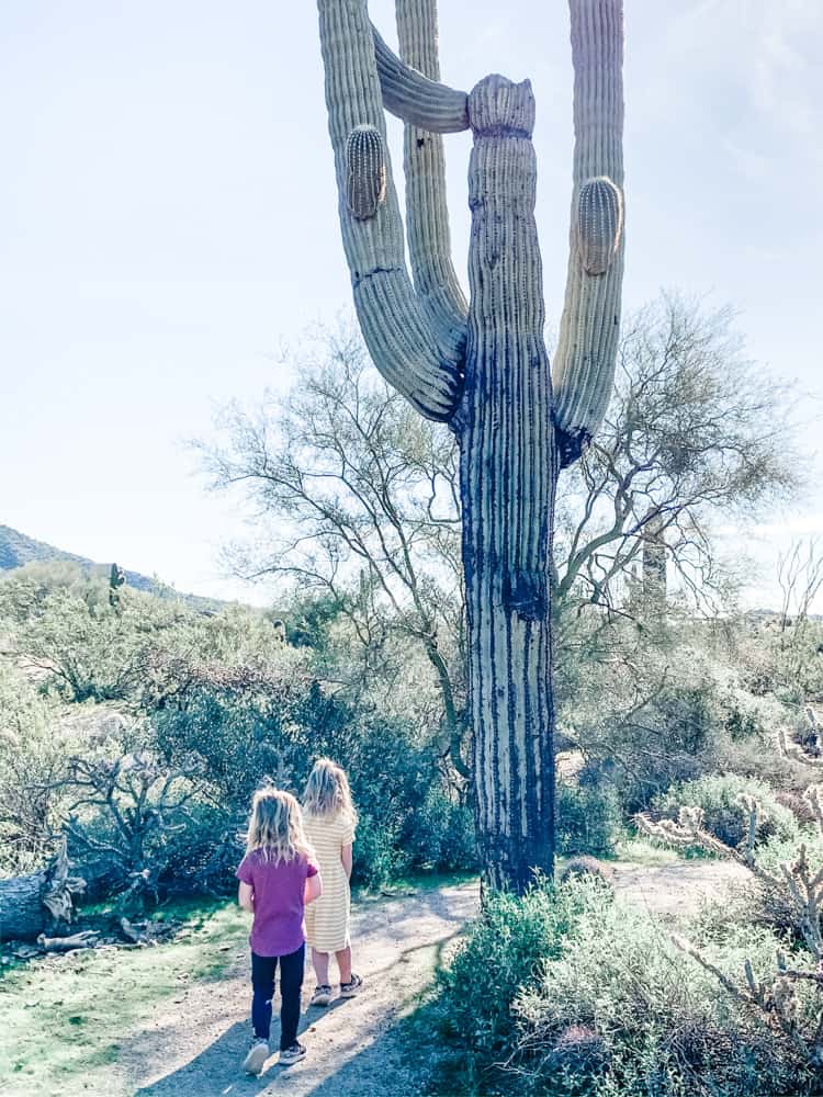 Hiking near Phoenix, Arizona