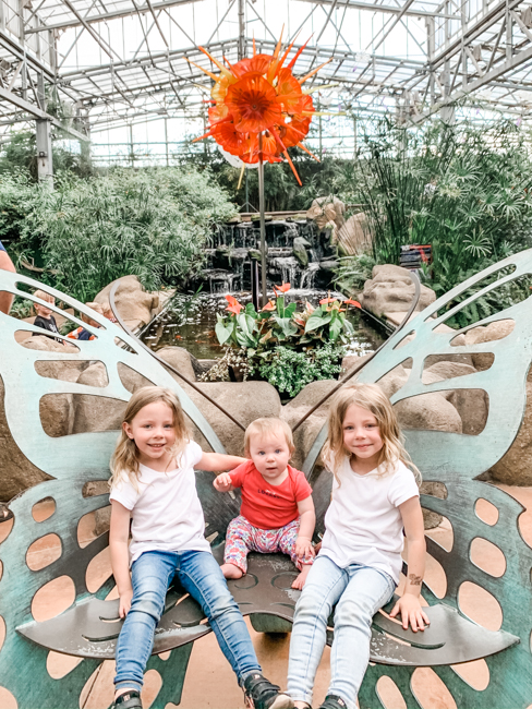 My kids in the Conservatory at Butterfly Wonderland