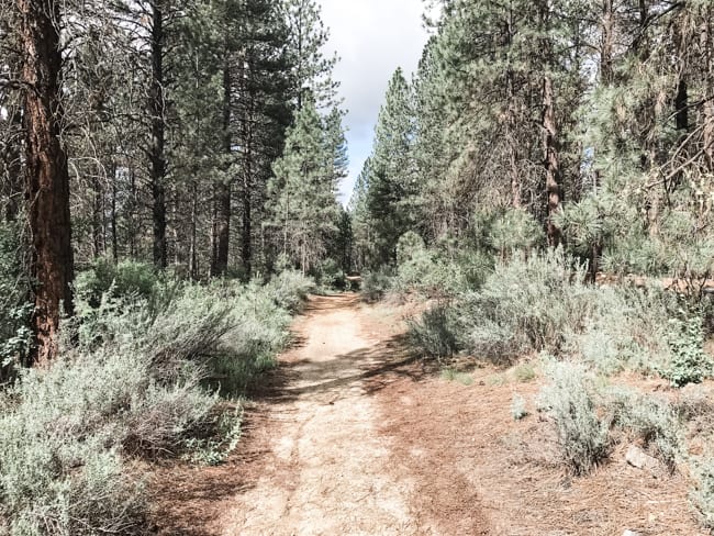 Buena Vista Trail - Hiking in Boise