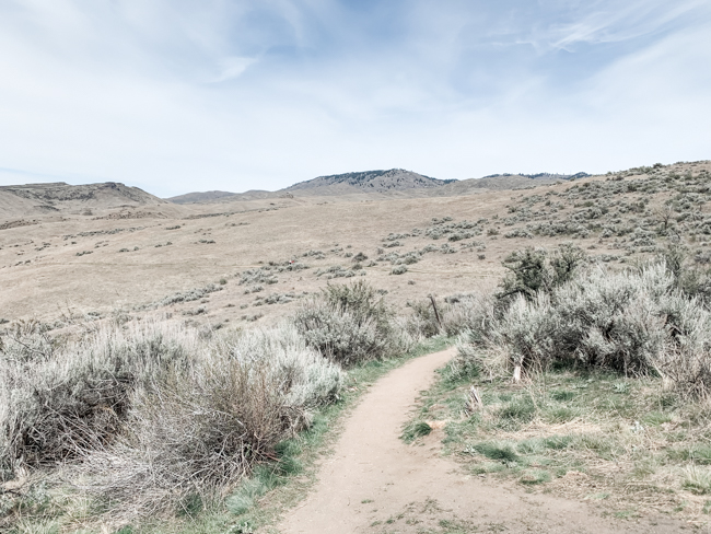 Hiking the Boise Foothills - Sweet Connie #77