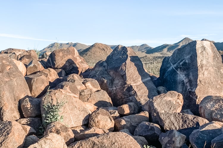 Signal Hill Trail is a great place to see petroglyphs in Saguaro National Park.