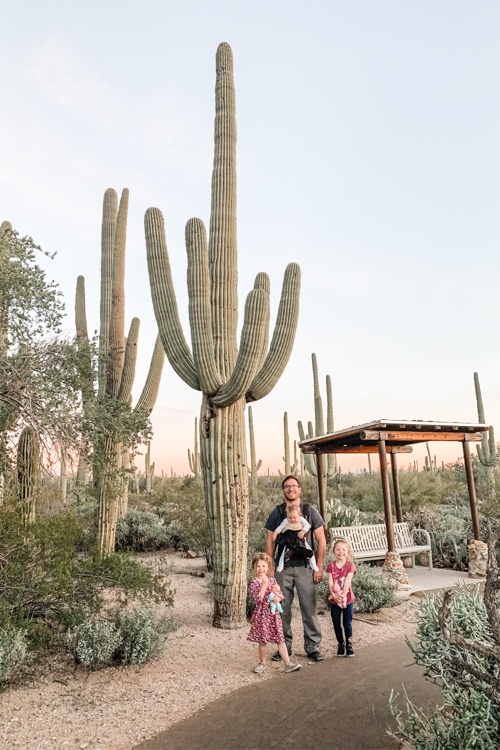 Desert Discovery Trail in the West side is a great trail for kids in Saguaro National Park.