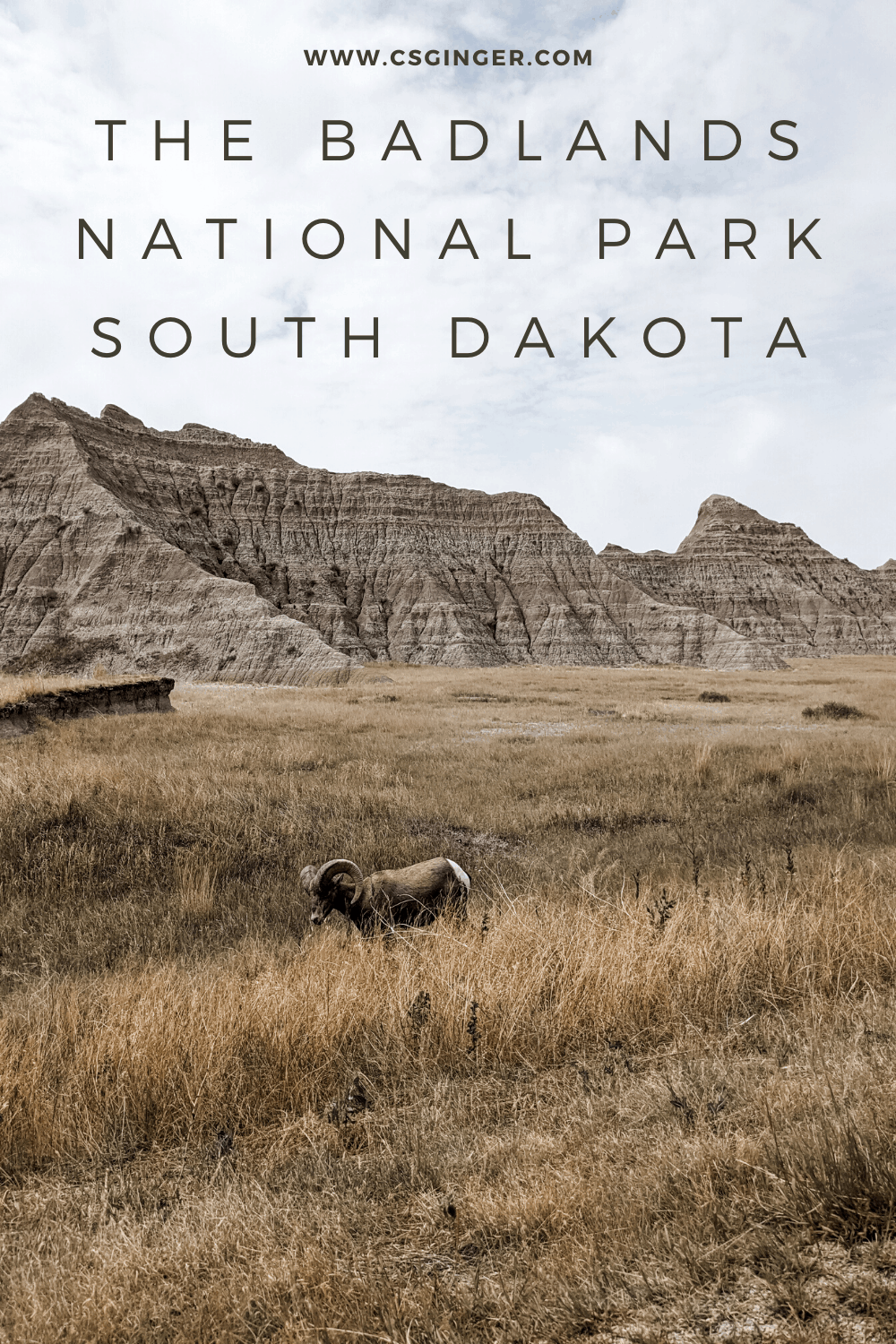 The Badlands National Park South Dakota Graphic