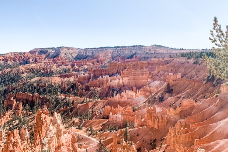 Viewpoint in Bryce National Park