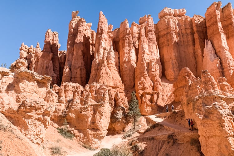 You can combine the Queens Garden and Navajo Loop to make a fun Bryce Canyon hike