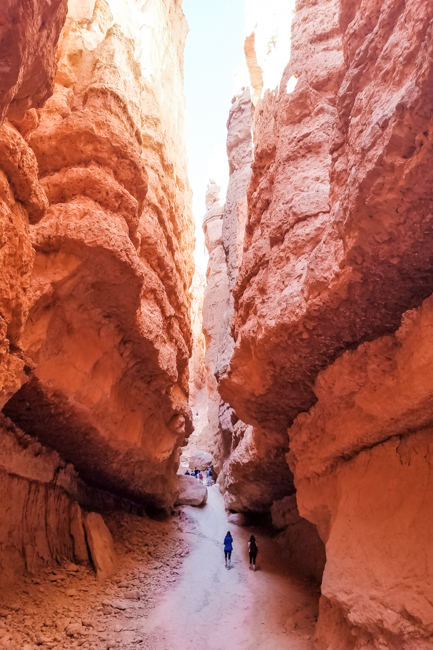 The Navajo Loop is one of my favorite Bryce Canyon hikes
