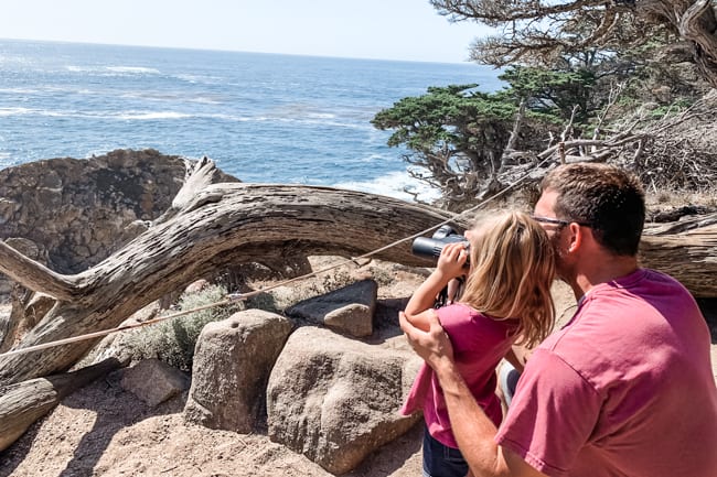 The North Shore Trail is one of the most popular Point Lobos hikes.
