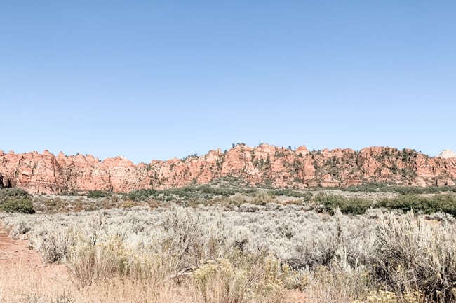 Grapevine Trail in Springville, Utah