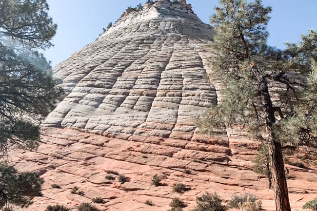 Checkerboard Mesa in Zion National Park