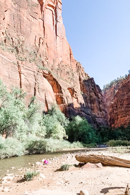 Riverside walk in Zion National Park