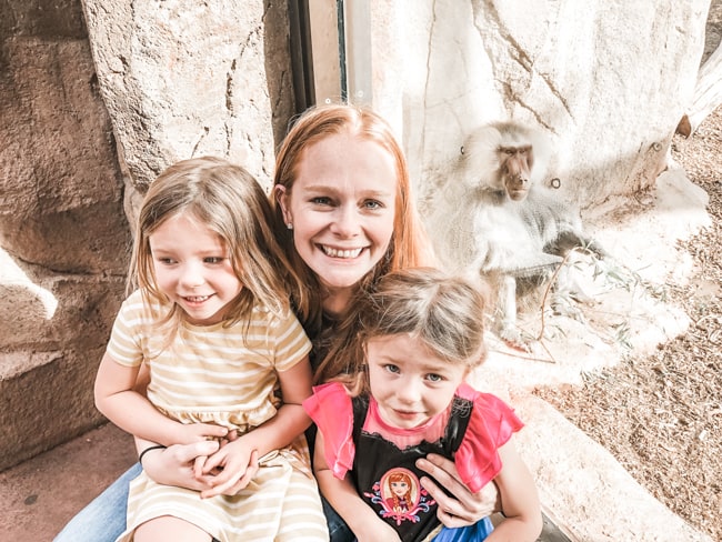The Phoenix Zoo is one of the best outdoor activities in Phoenix
