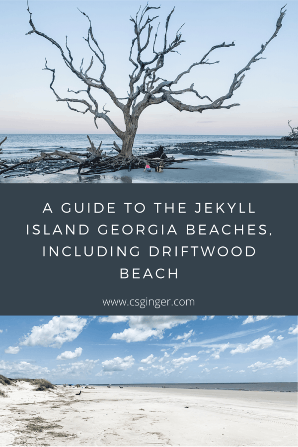 A Guide to the Best Jekyll Island Beaches, Including Driftwood Beach ...