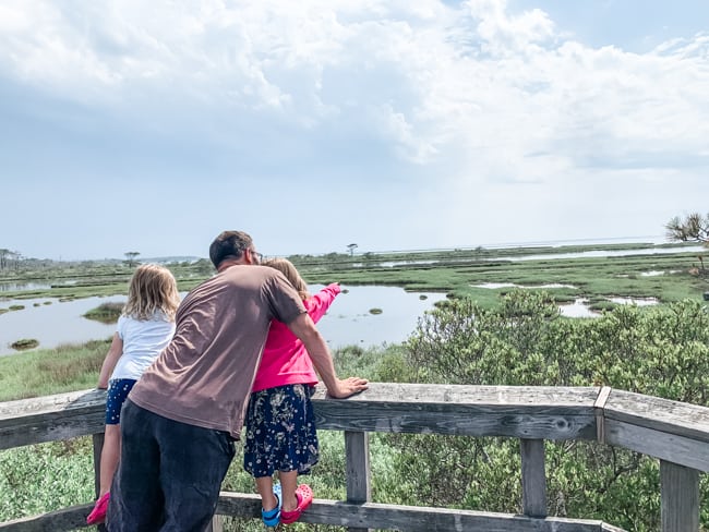 Walking the nature trails is one of our favorite things to do in Assateague Island