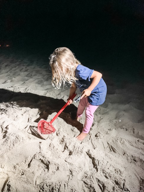Hunting for Ghost Crabs - Things to Do in the Outer Banks