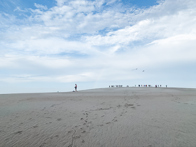 Jockey Ridge State Park in the Outer Banks