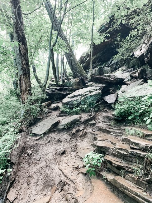 Ozone Falls Hike