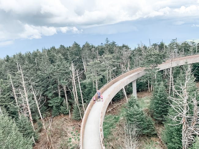 Clingmans Dome in Great Smoky Mountains National Park