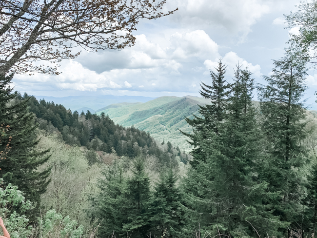 Smoky Mountains National Park - Newfound Gap